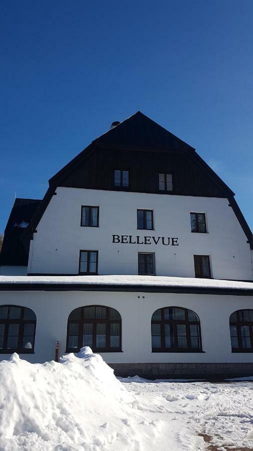 Luxusni Mezonetovy Apartman Bellevue - Novy Benecko Exterior photo